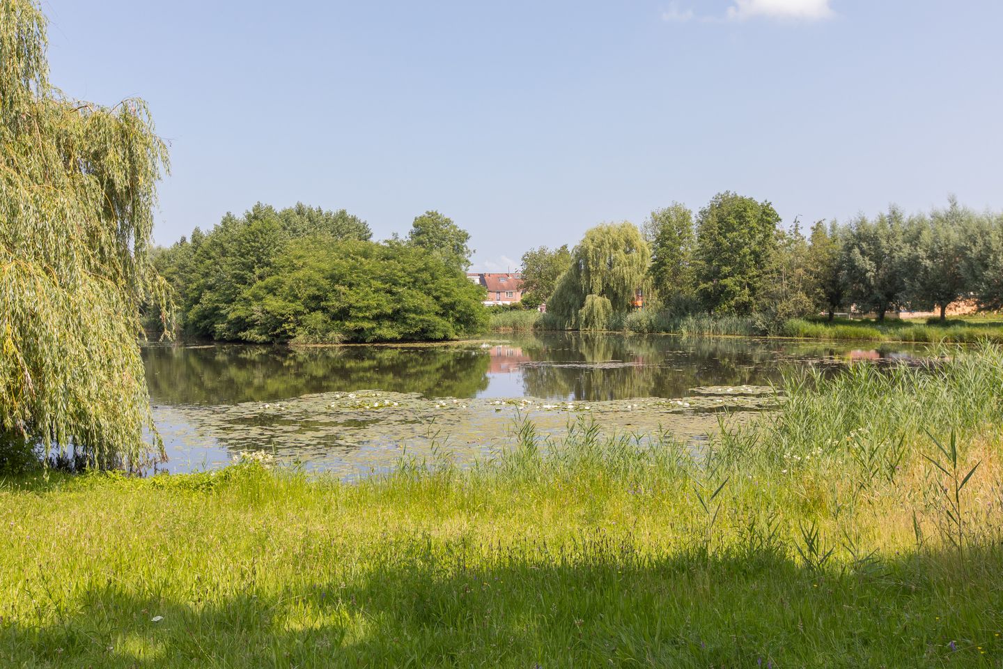 Photo 64 of Tarwedreef 115