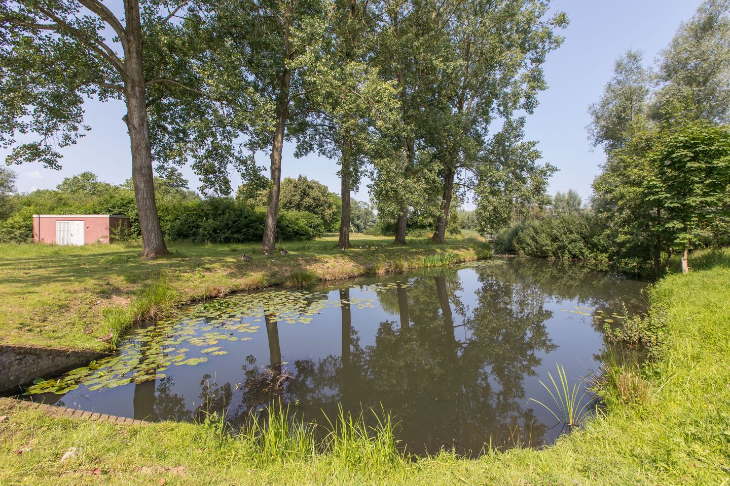 Photo 65 of Tarwedreef 115