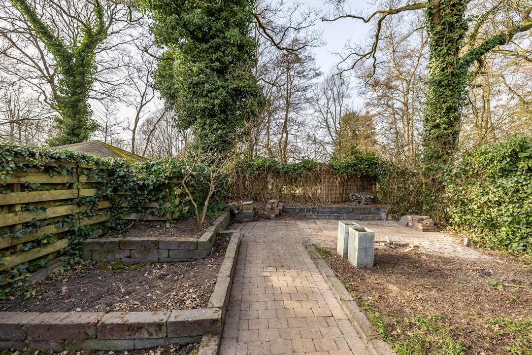 Photo 43 of Boermarke 20