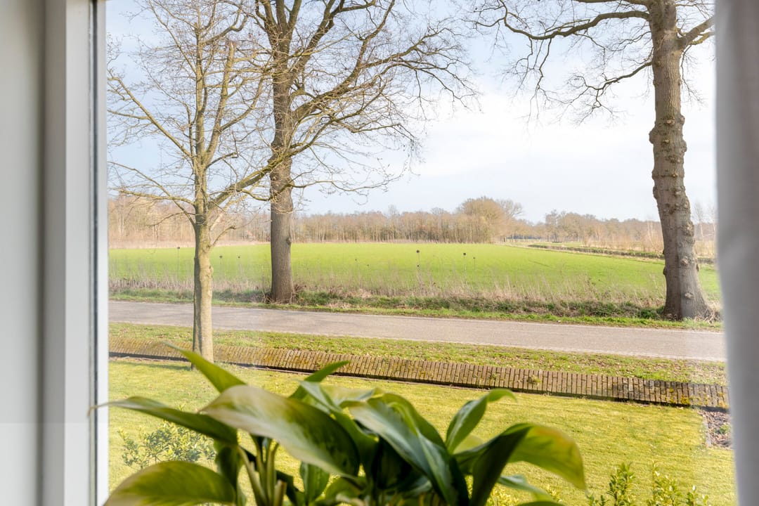 Foto 8 van Rector Hulshofstraat 7