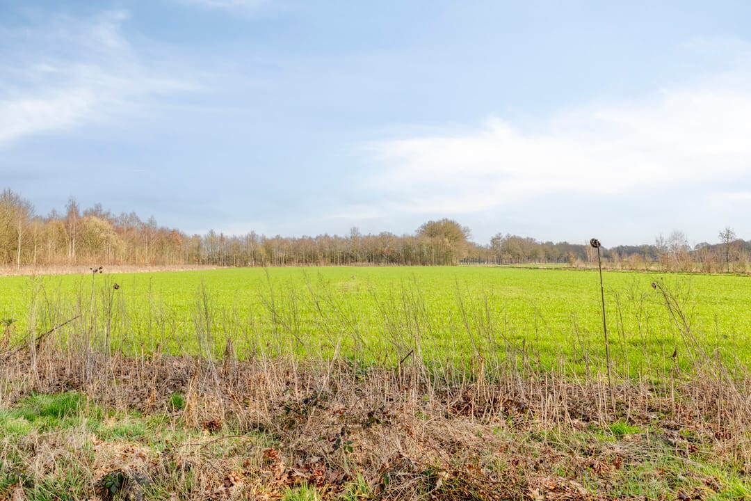 Foto 37 van Rector Hulshofstraat 7