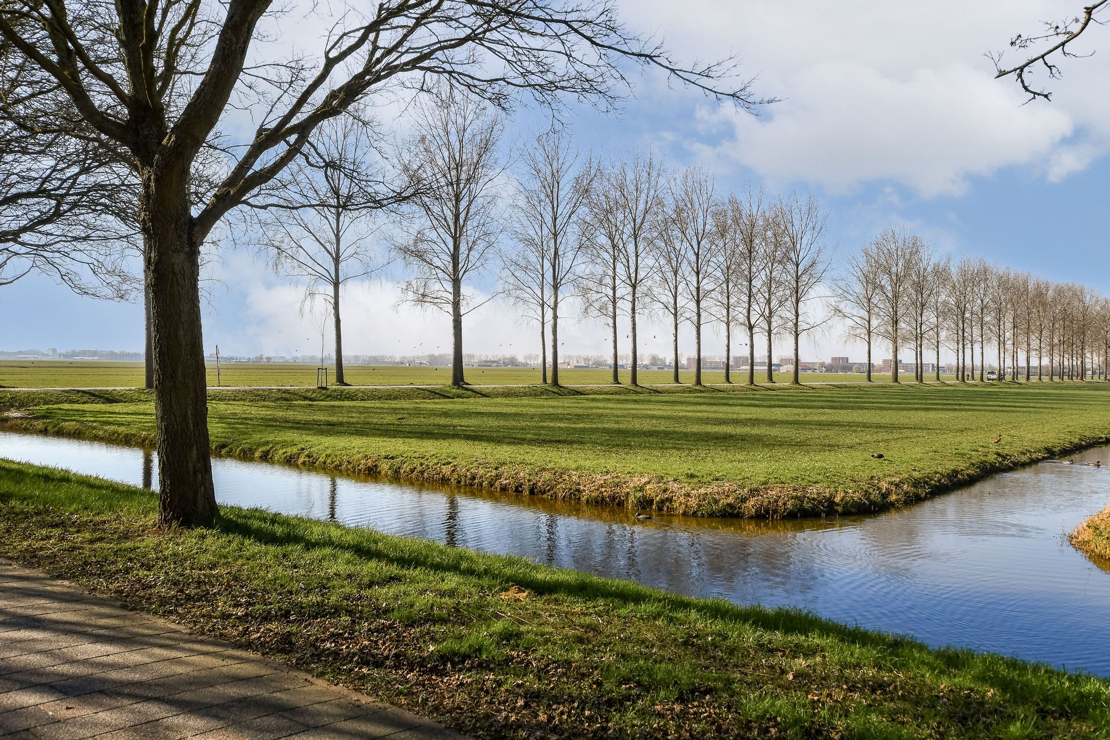 Foto 24 van Groenendaal 19