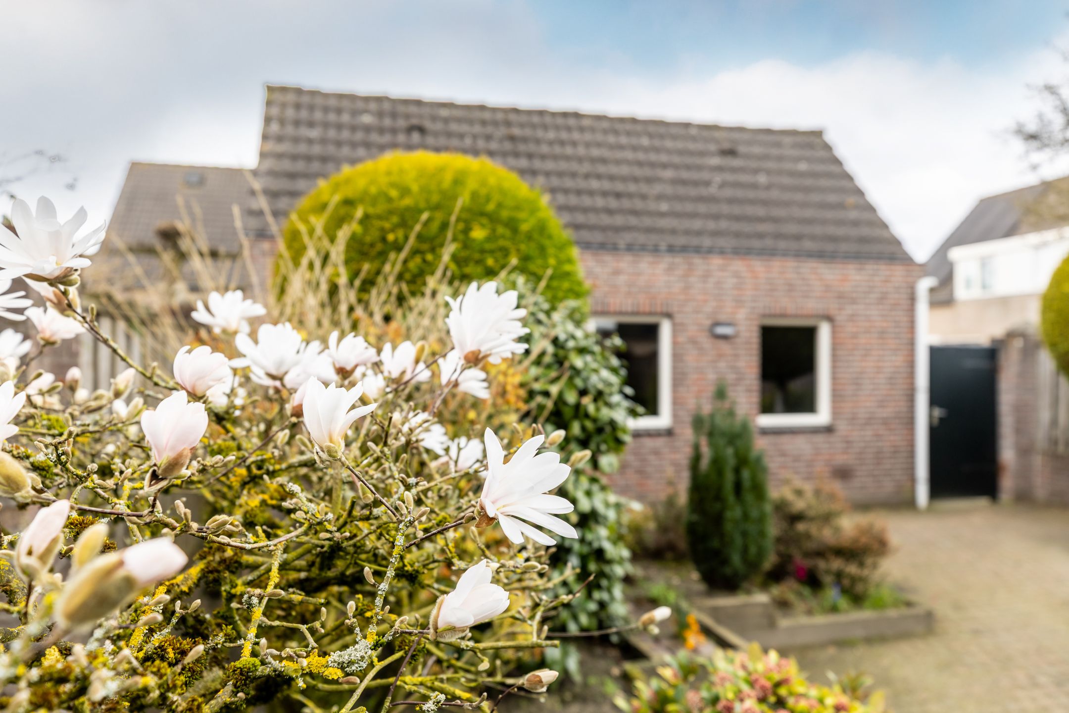 Foto 33 van Glazenmaker 2