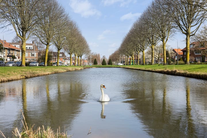 Foto 5 van Jan Vethkade 50