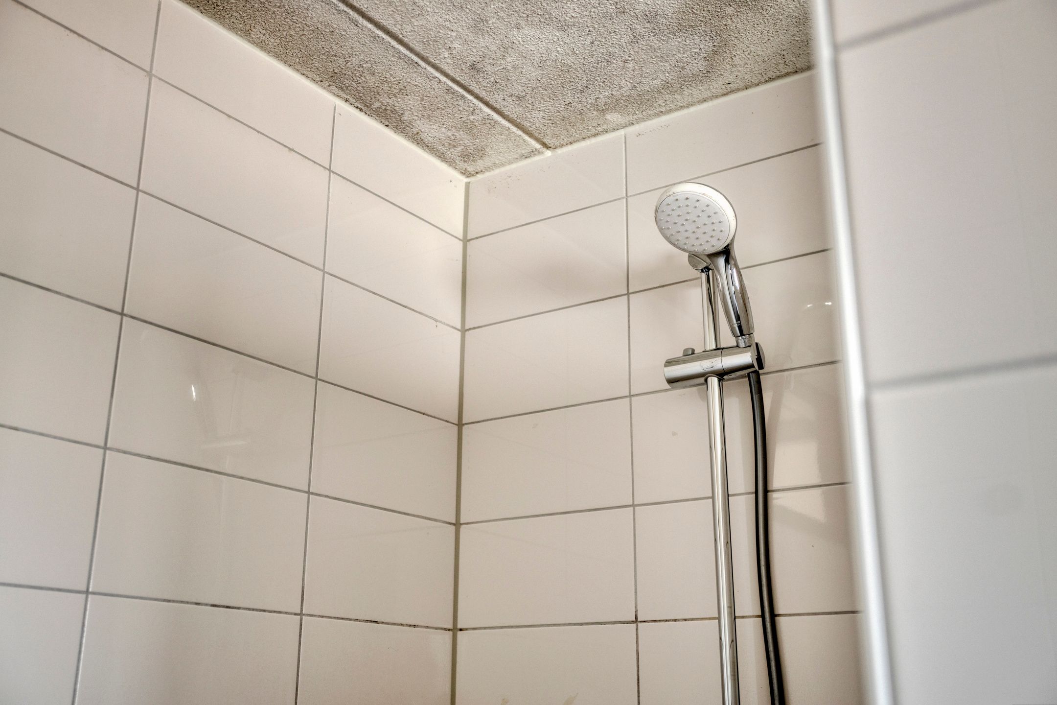 Photo 18 of Weerselosestraat 214