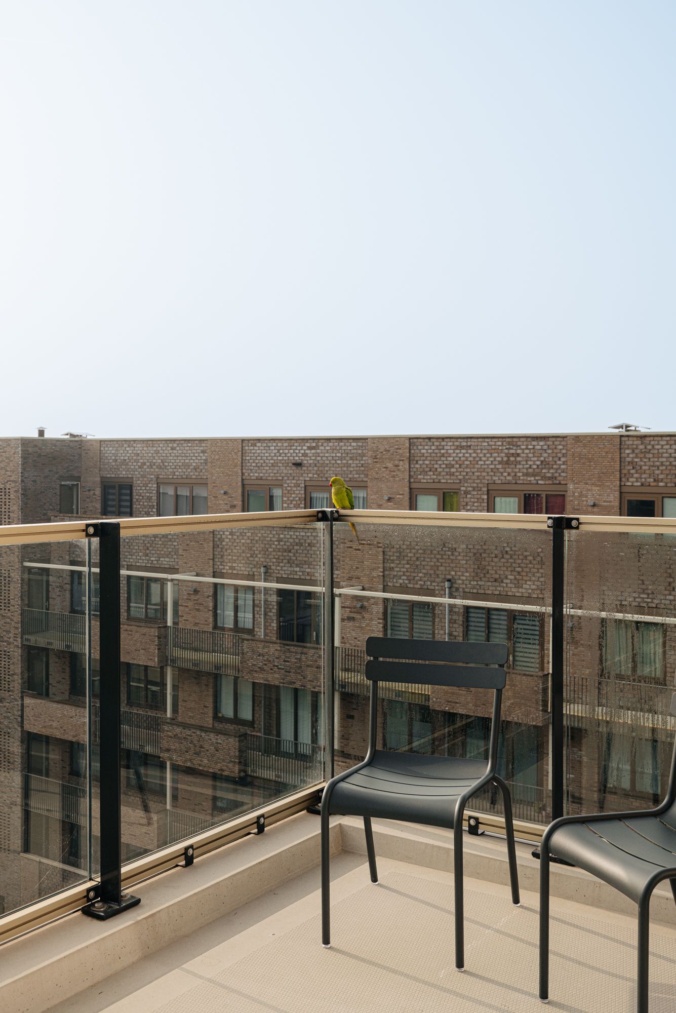 Foto 12 van Eef Kamerbeekstraat 586