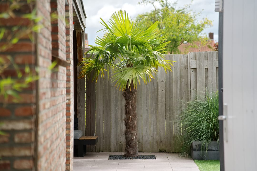 Foto 43 van De Klef 3