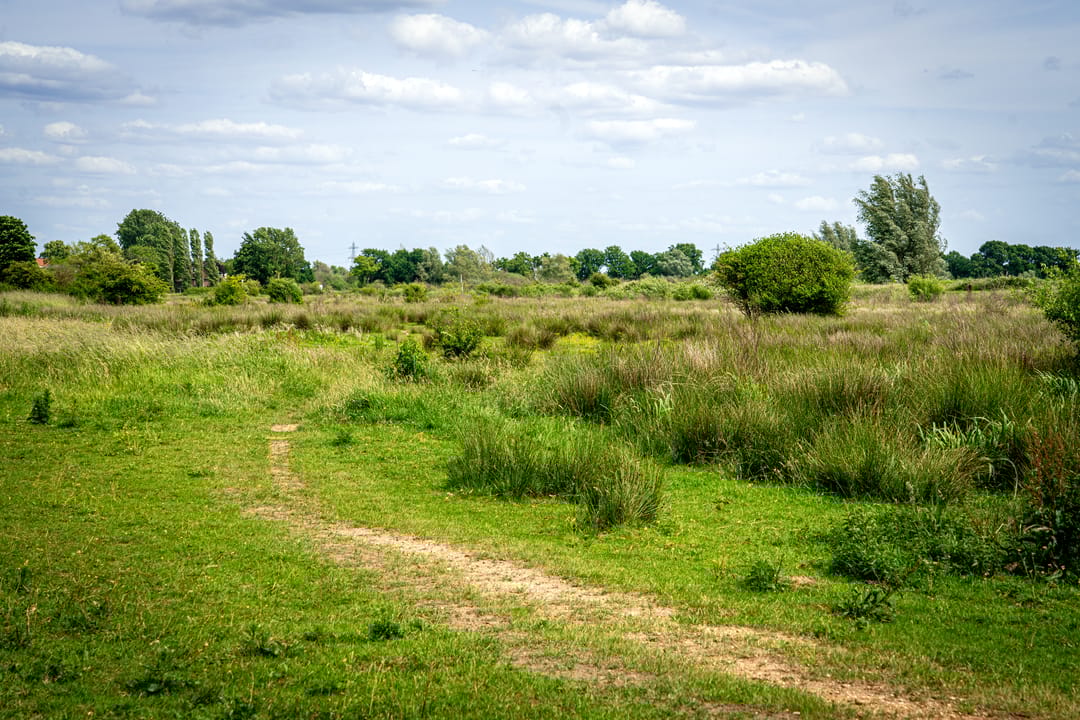 Foto 46 van De Klef 3