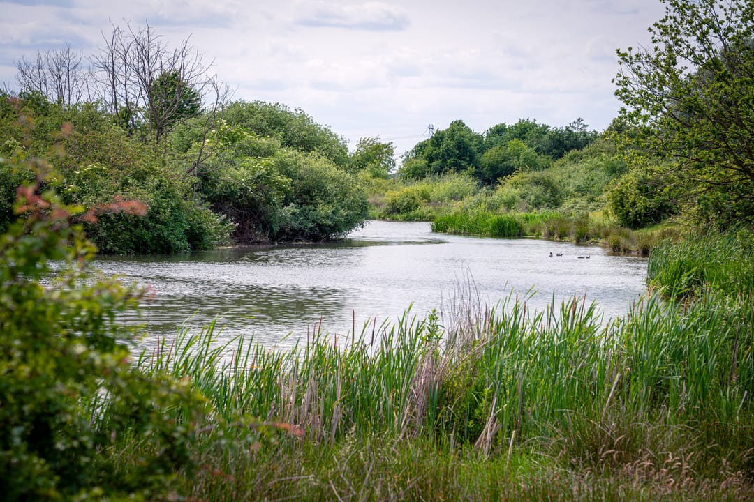 Foto 47 van De Klef 3