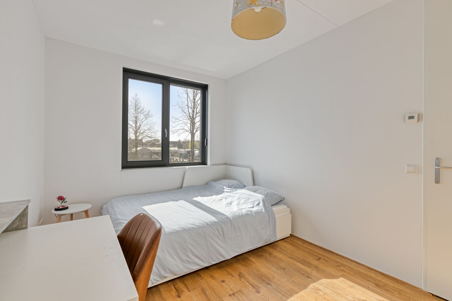 Foto 35 van Piet Snoeijersstraat 6