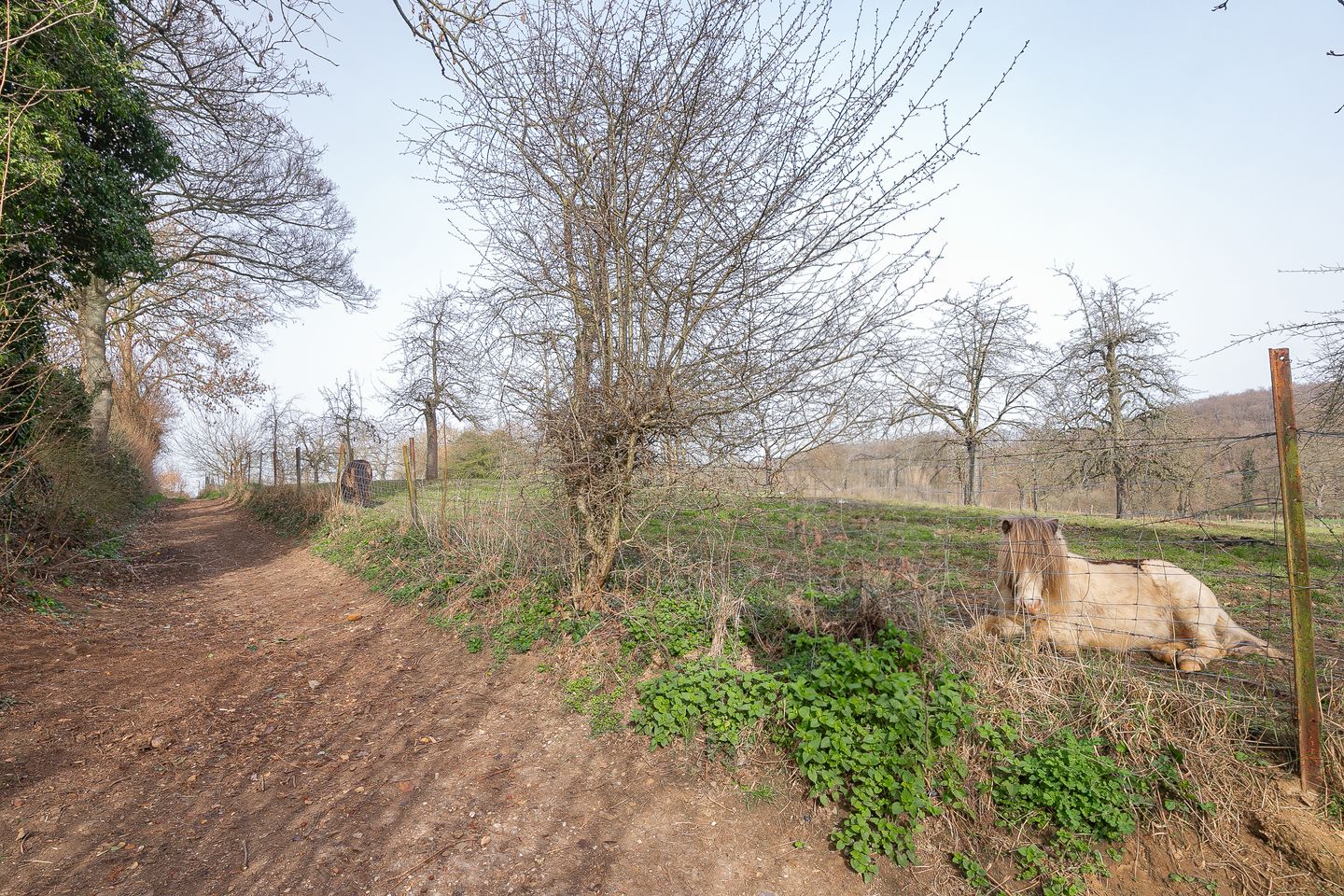 Photo 19 of De Hoof 9