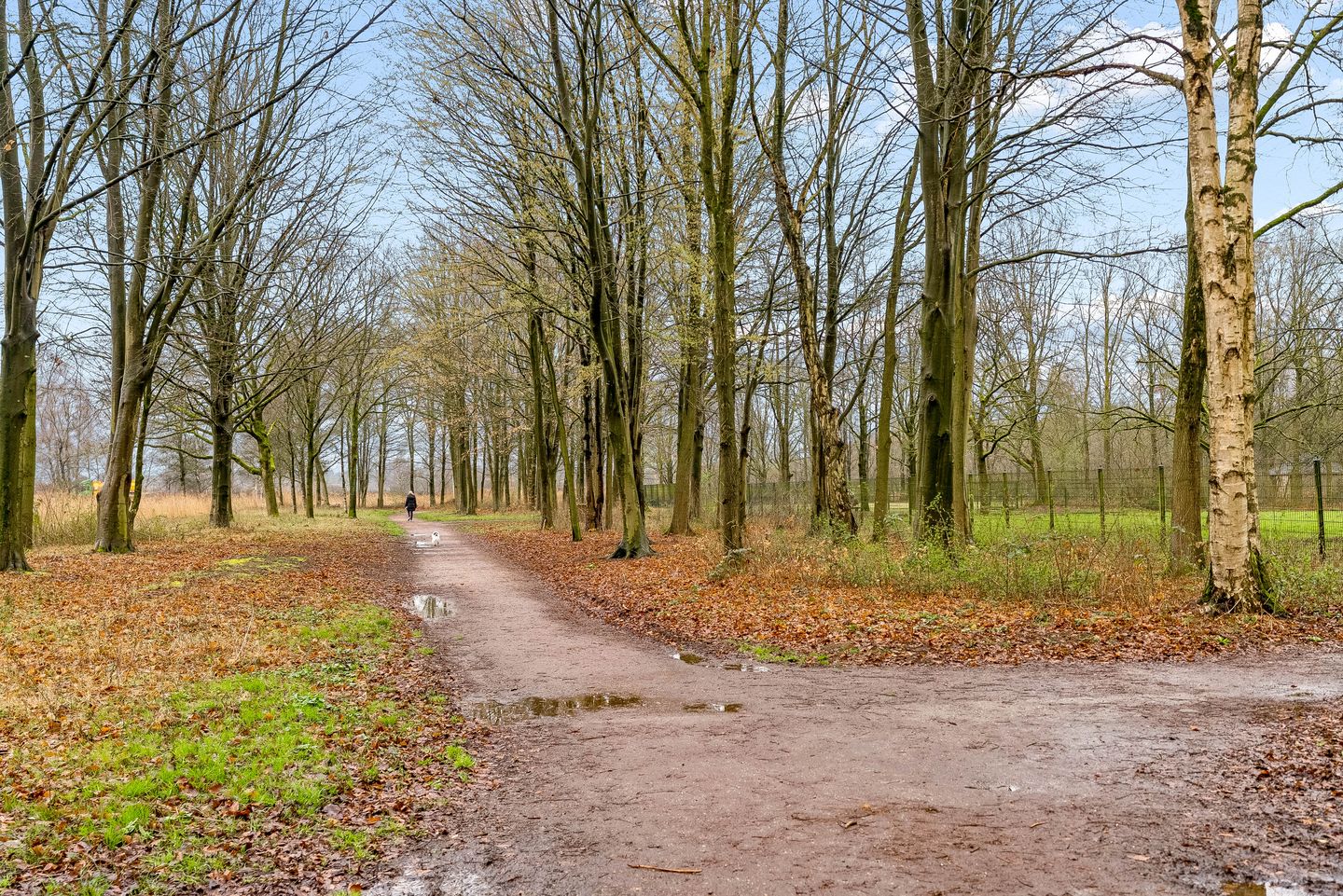 Foto 55 van Slootweg 8