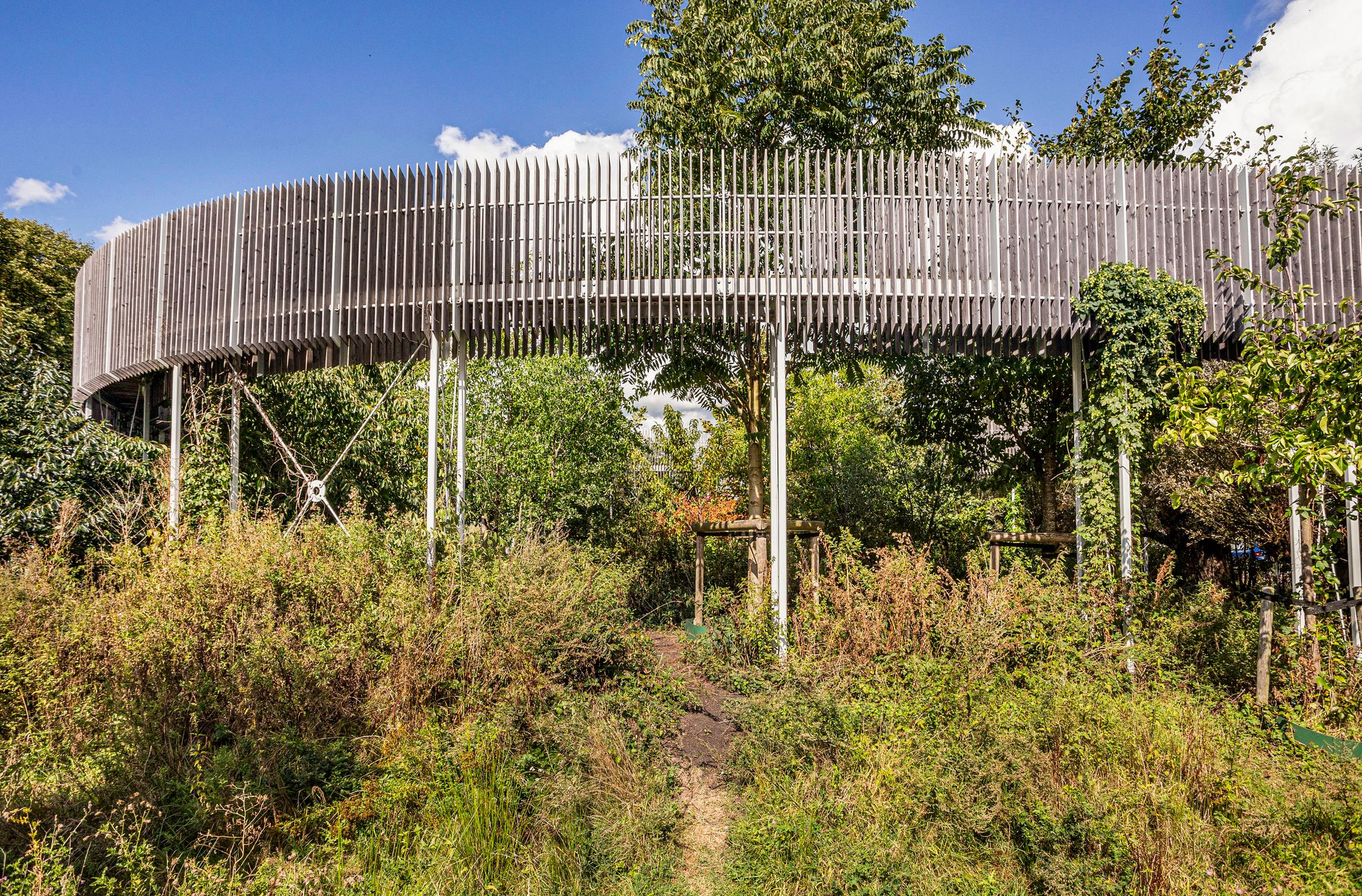 Foto 51 van Daslookstraat 13