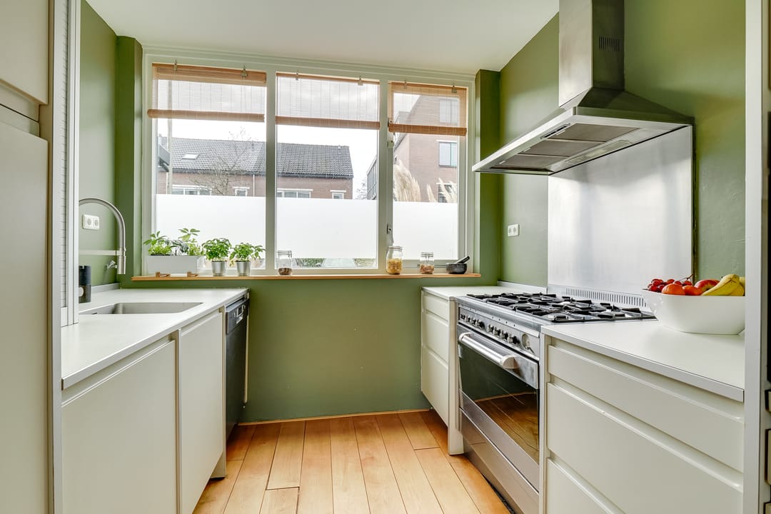 Photo 16 of Pyreneeën 12