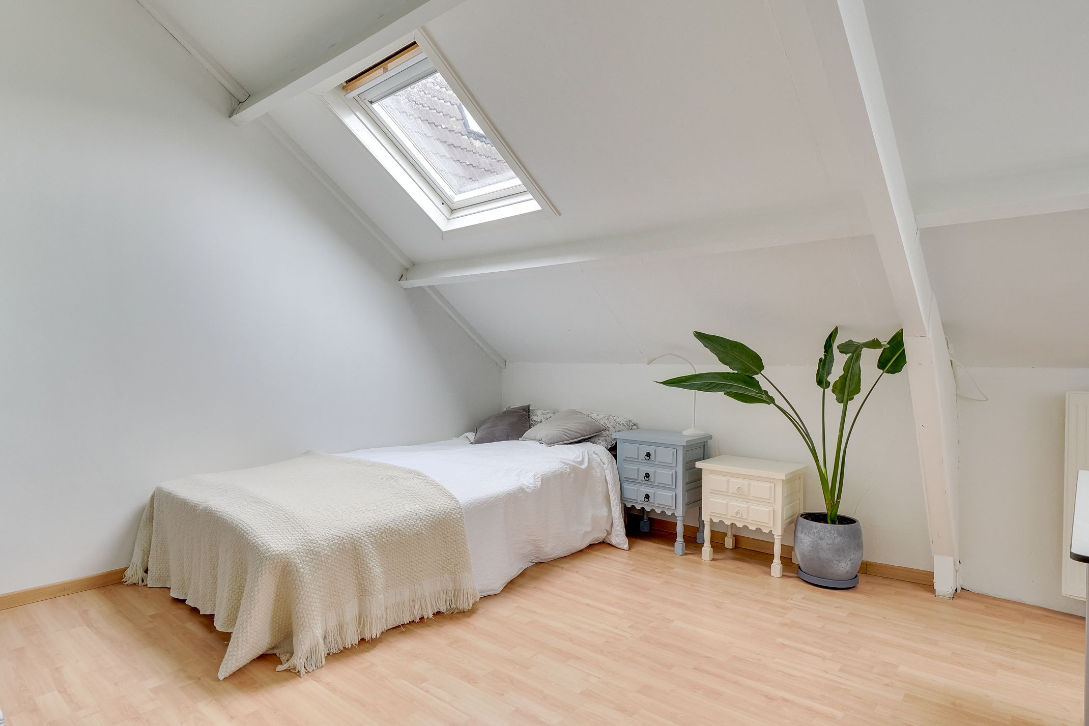 Photo 36 of Pyreneeën 12