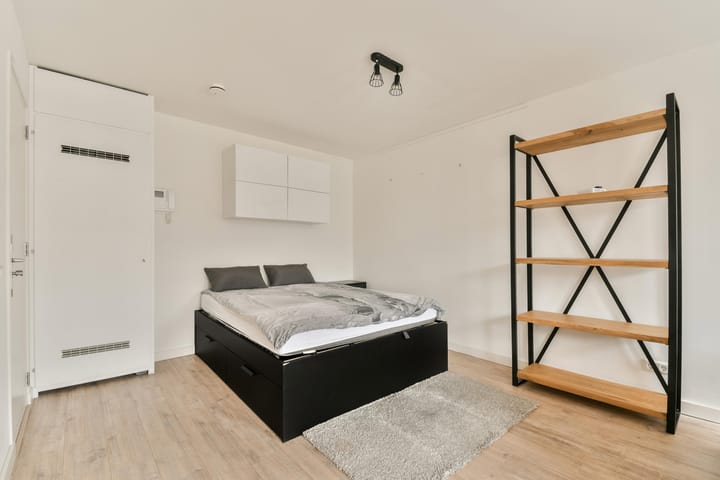 Foto 4 van Albert Cuypstraat 124-3V