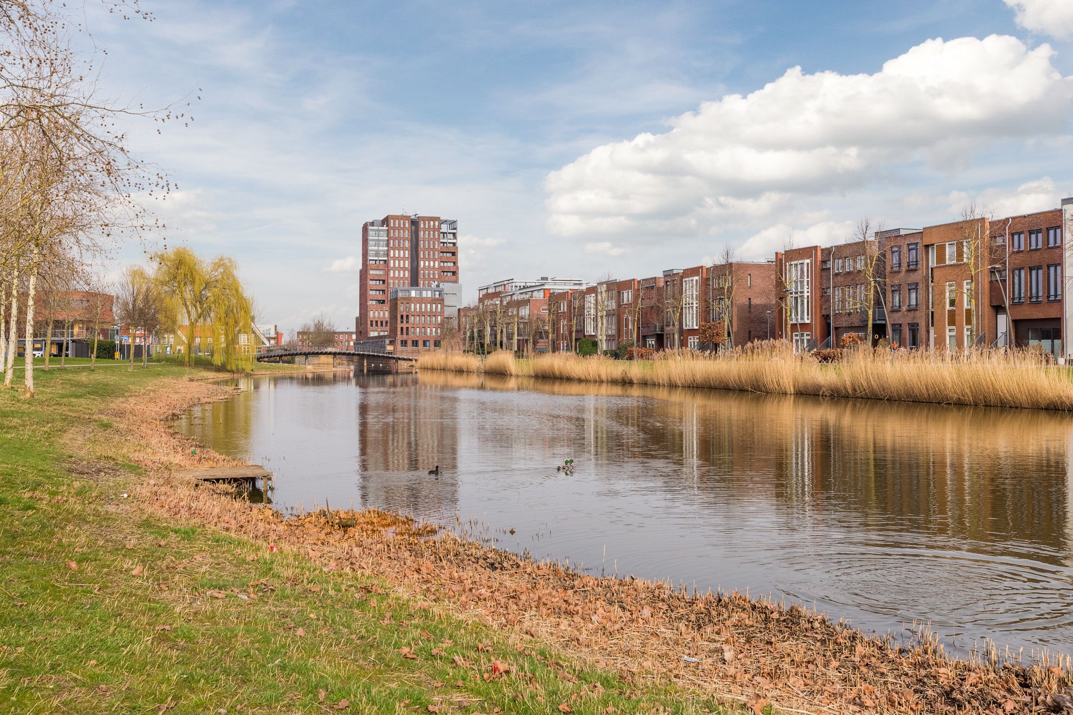 Foto 66 van Regulierspoort 45