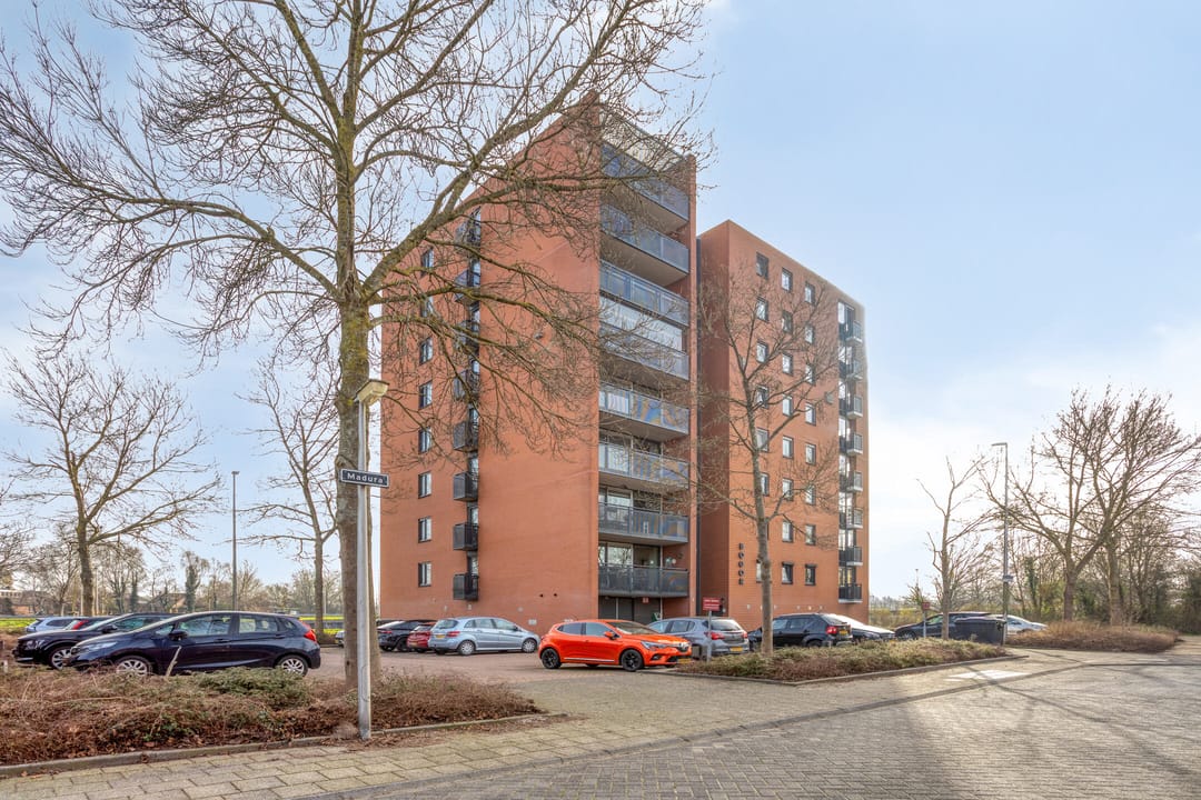 Photo 2 of Sumatra 15