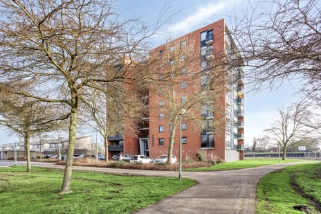 Sumatra 15 tertiary image