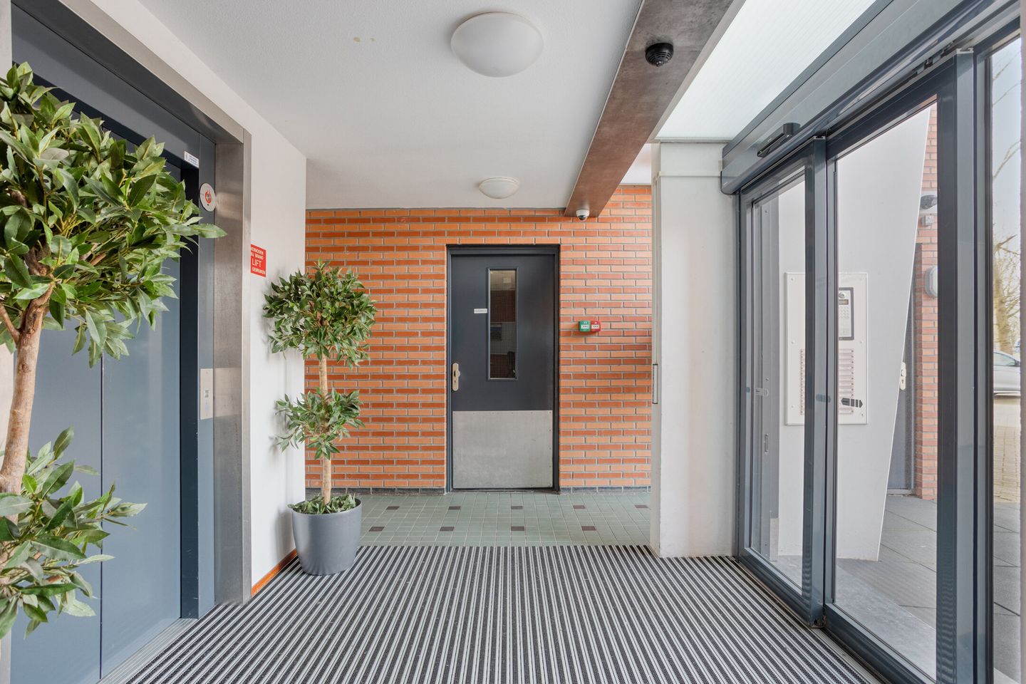 Photo 5 of Sumatra 15