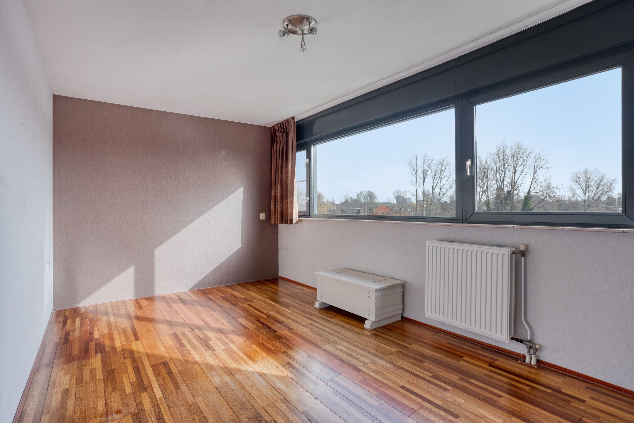 Photo 18 of Sumatra 15