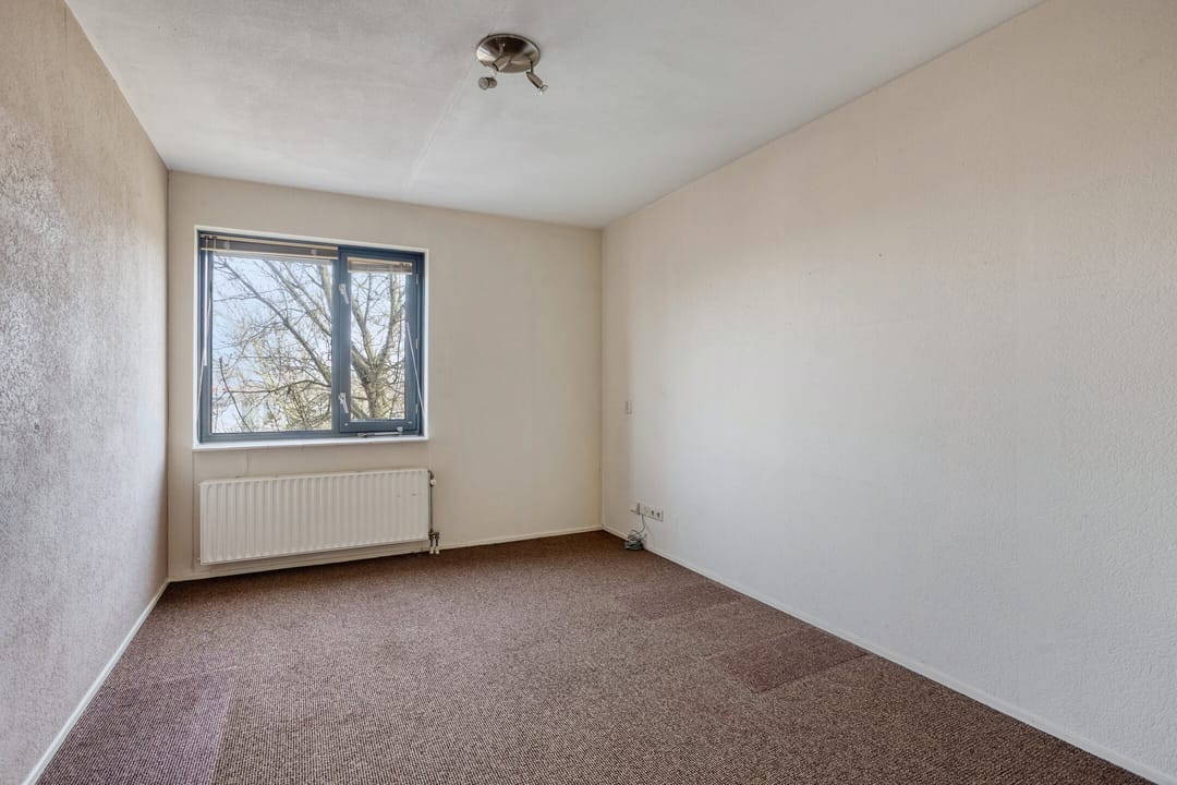 Photo 23 of Sumatra 15