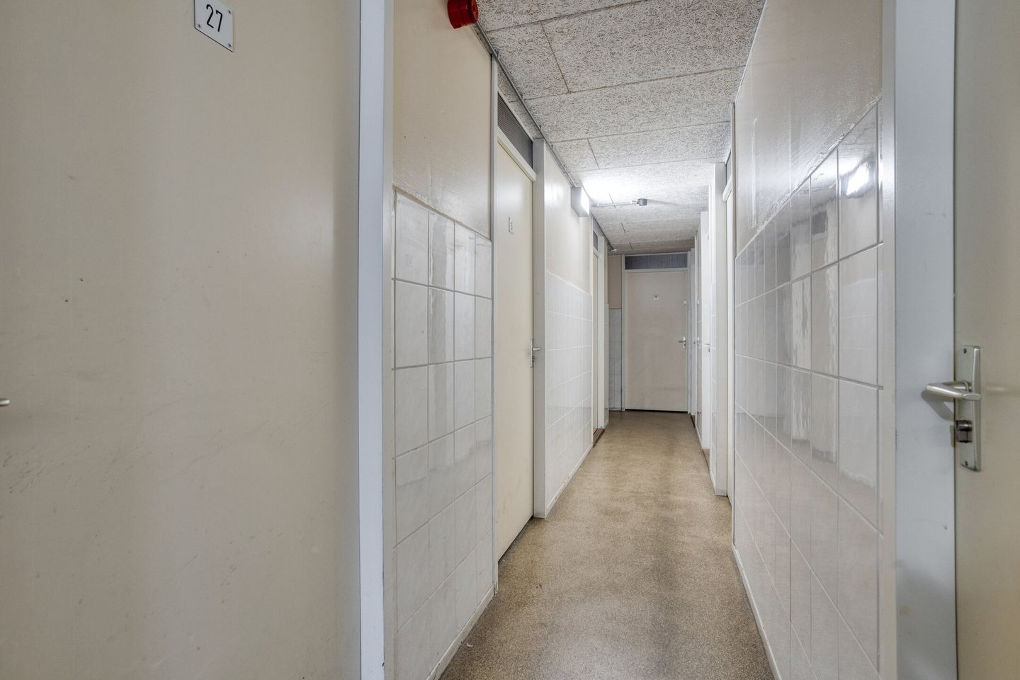 Photo 25 of Sumatra 15