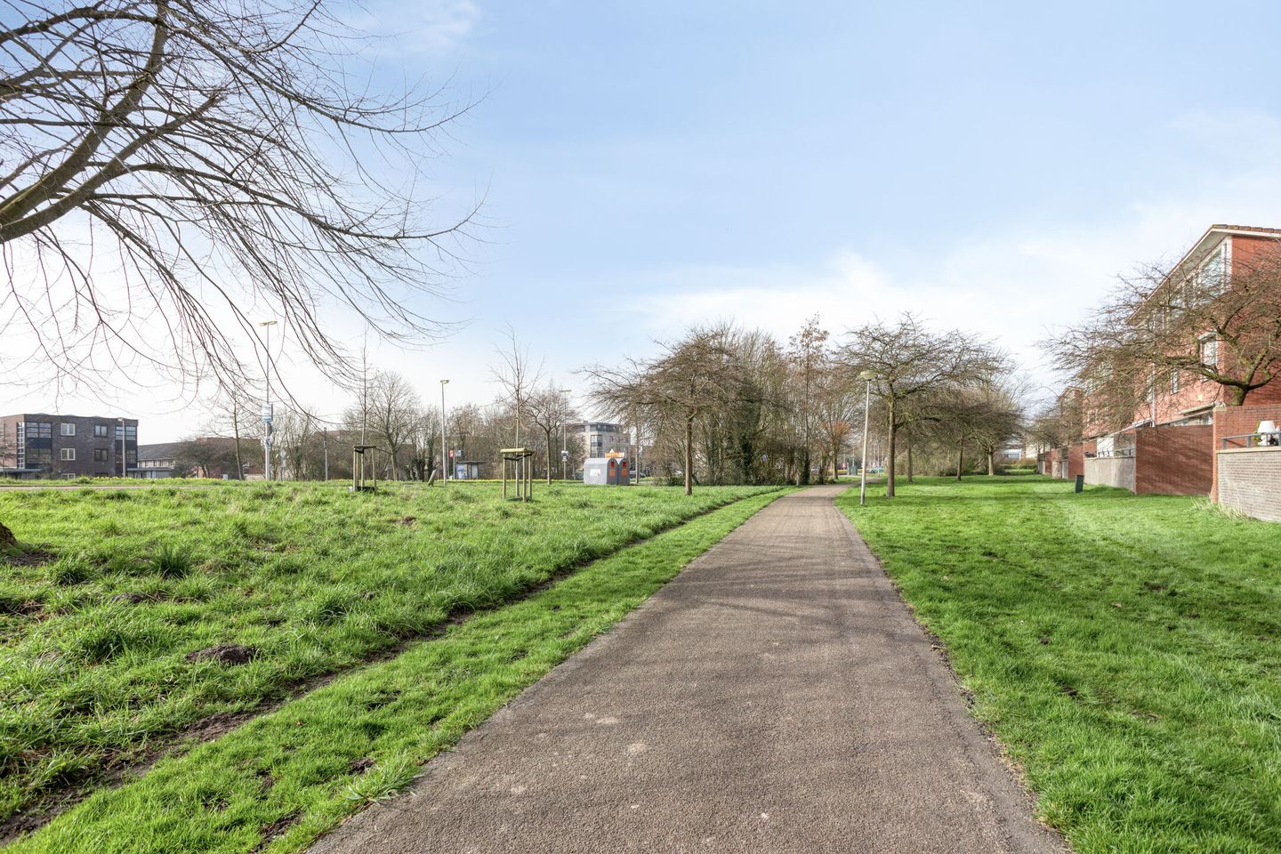 Photo 29 of Sumatra 15