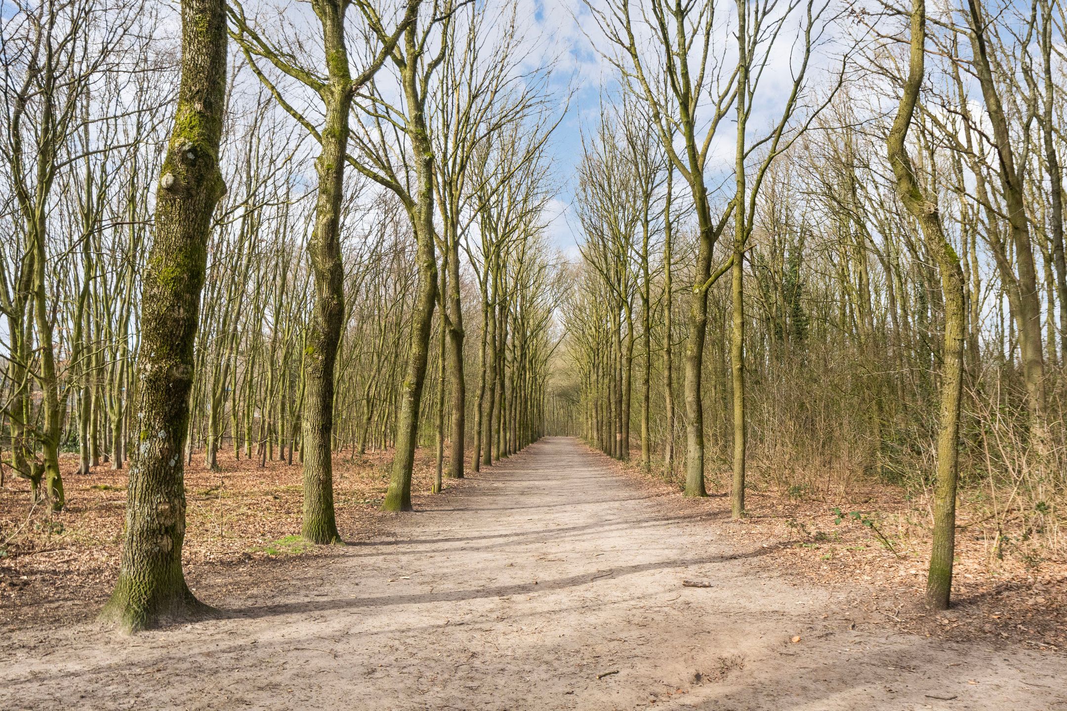 Foto 51 van Prof. Oudpark 67