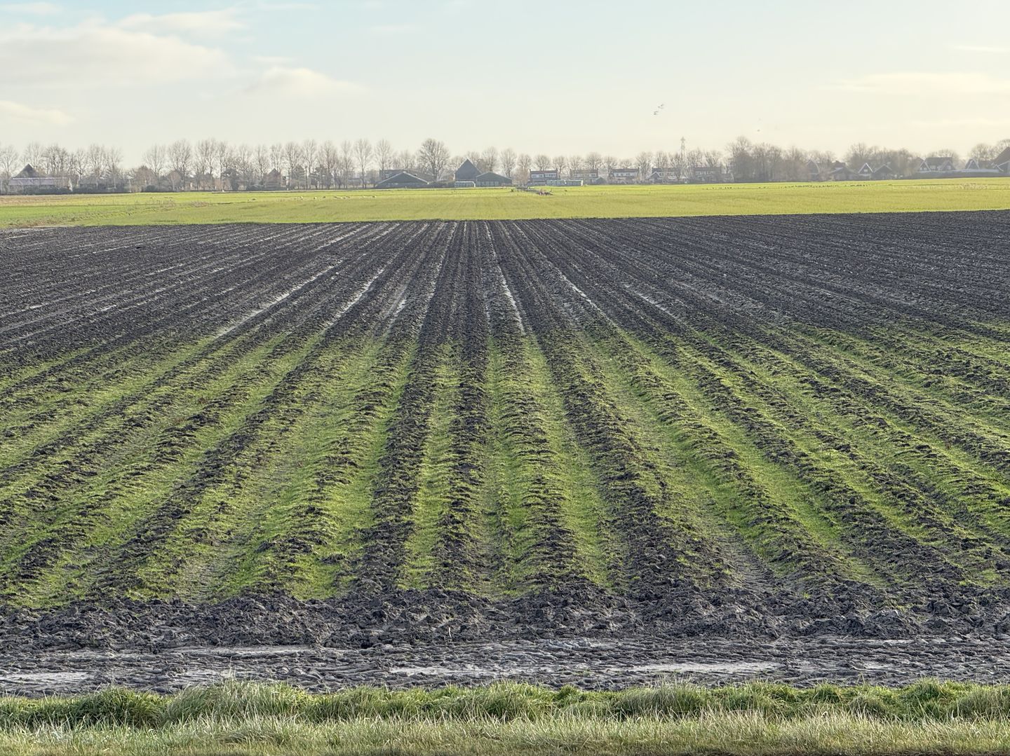 View photo 3 of Westdijk