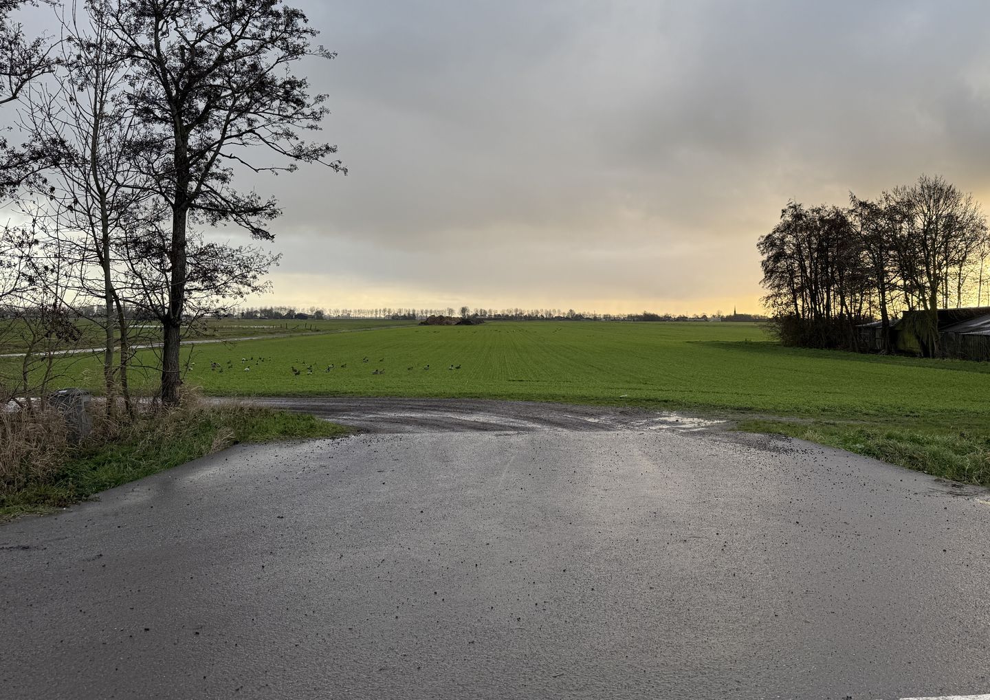 View photo 4 of Westdijk