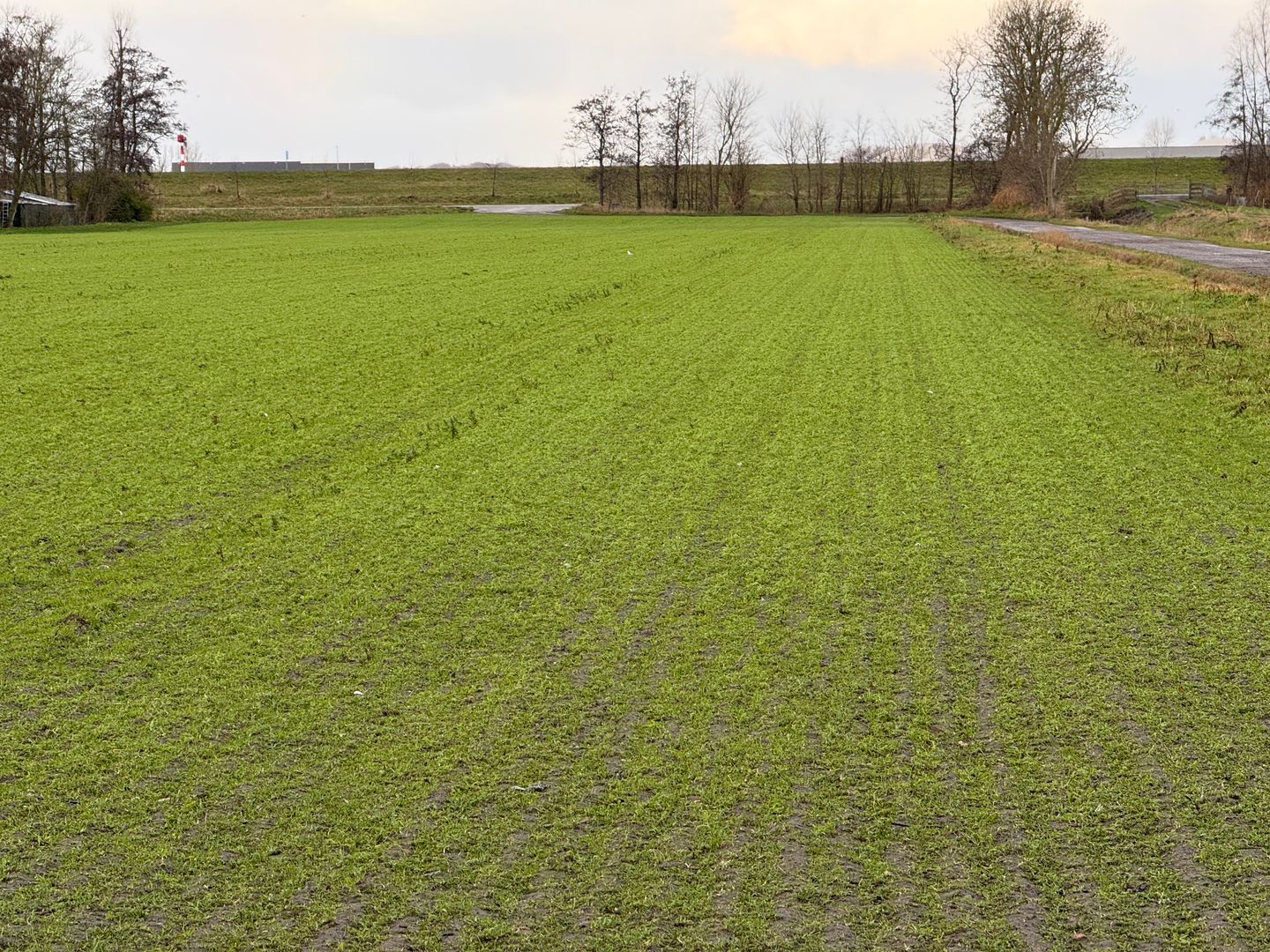 Westdijk - Zuidschermer - Afbeelding 7