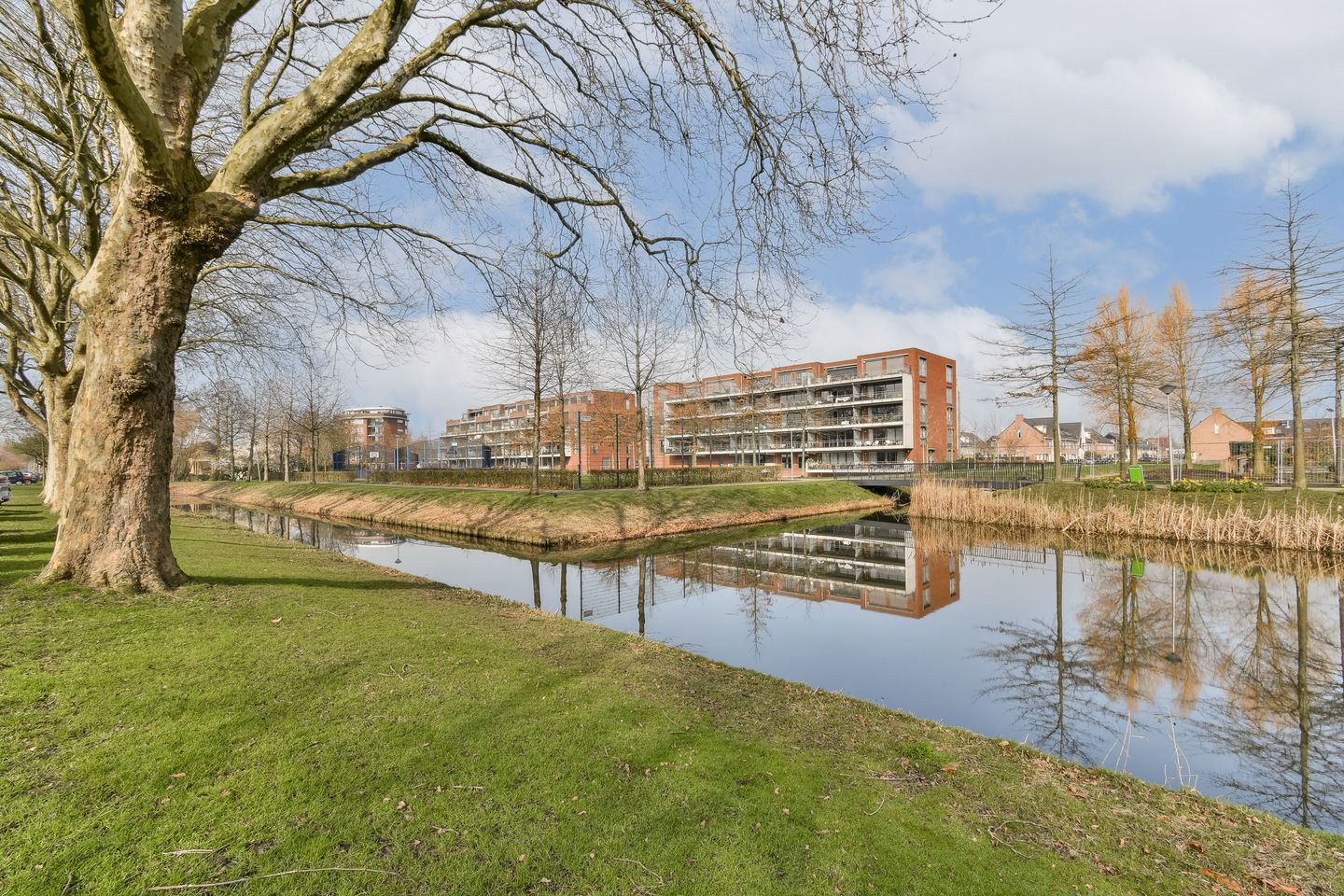 Foto 29 van Gruttostraat 39