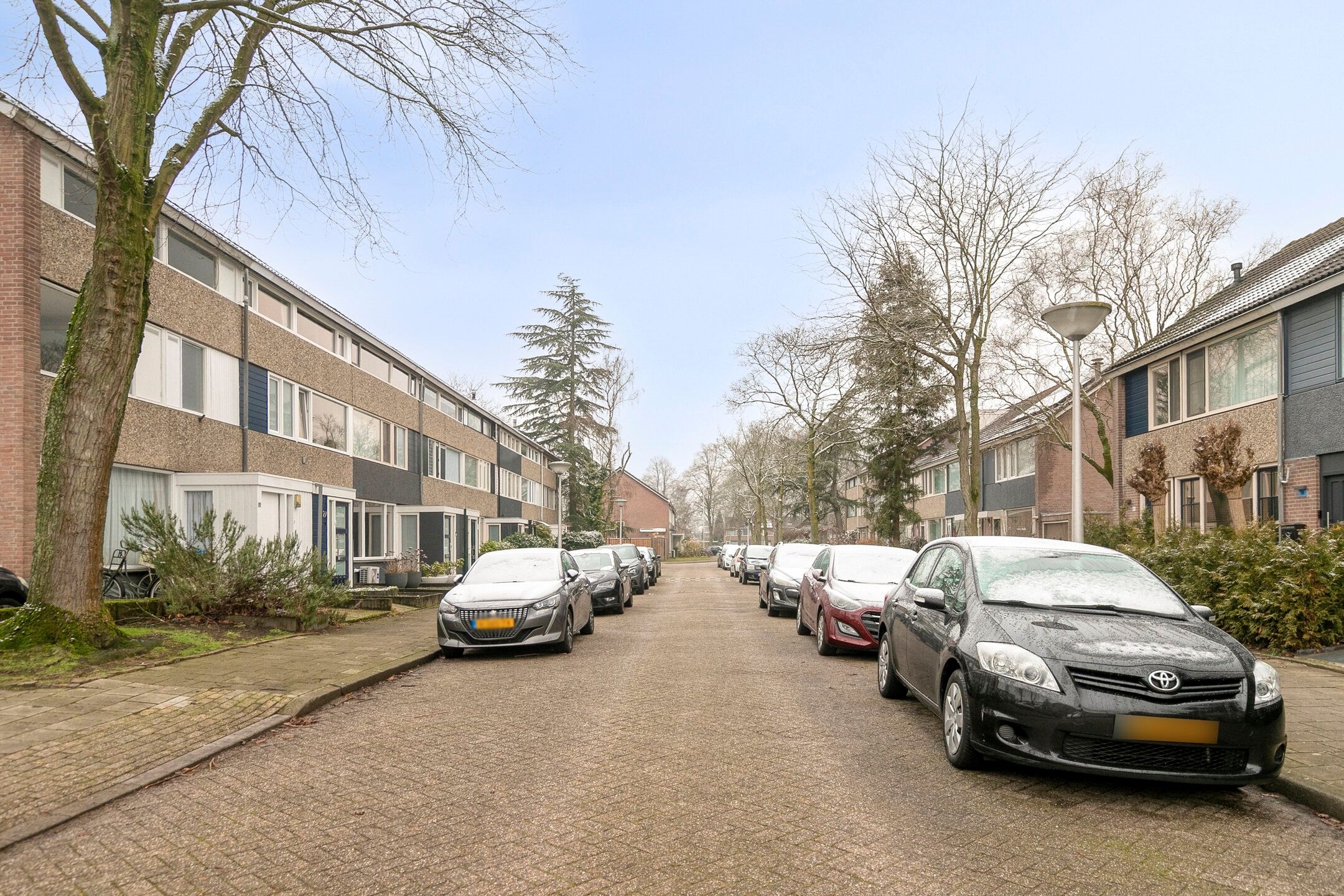 Foto 42 van Hartelstein 25