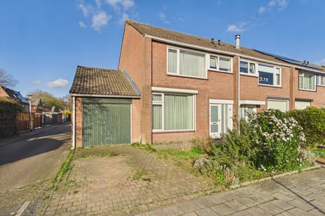 undefined main image