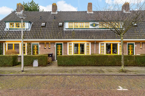 undefined main image