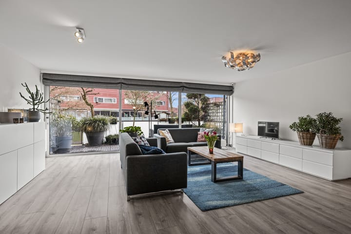 Meerval 134 main image