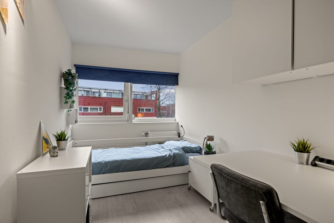 Foto 32 van Meerval 134