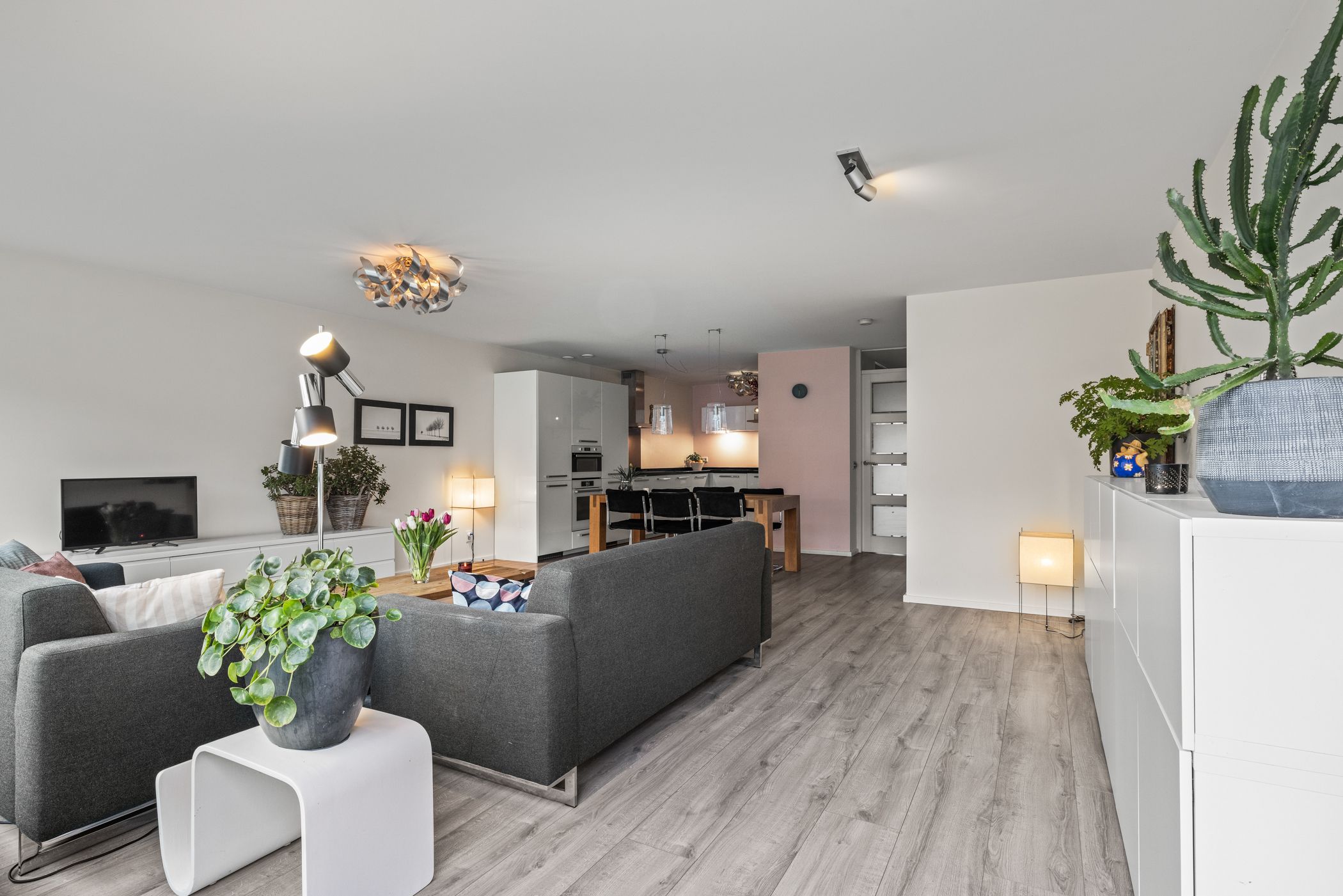 Foto 15 van Meerval 134