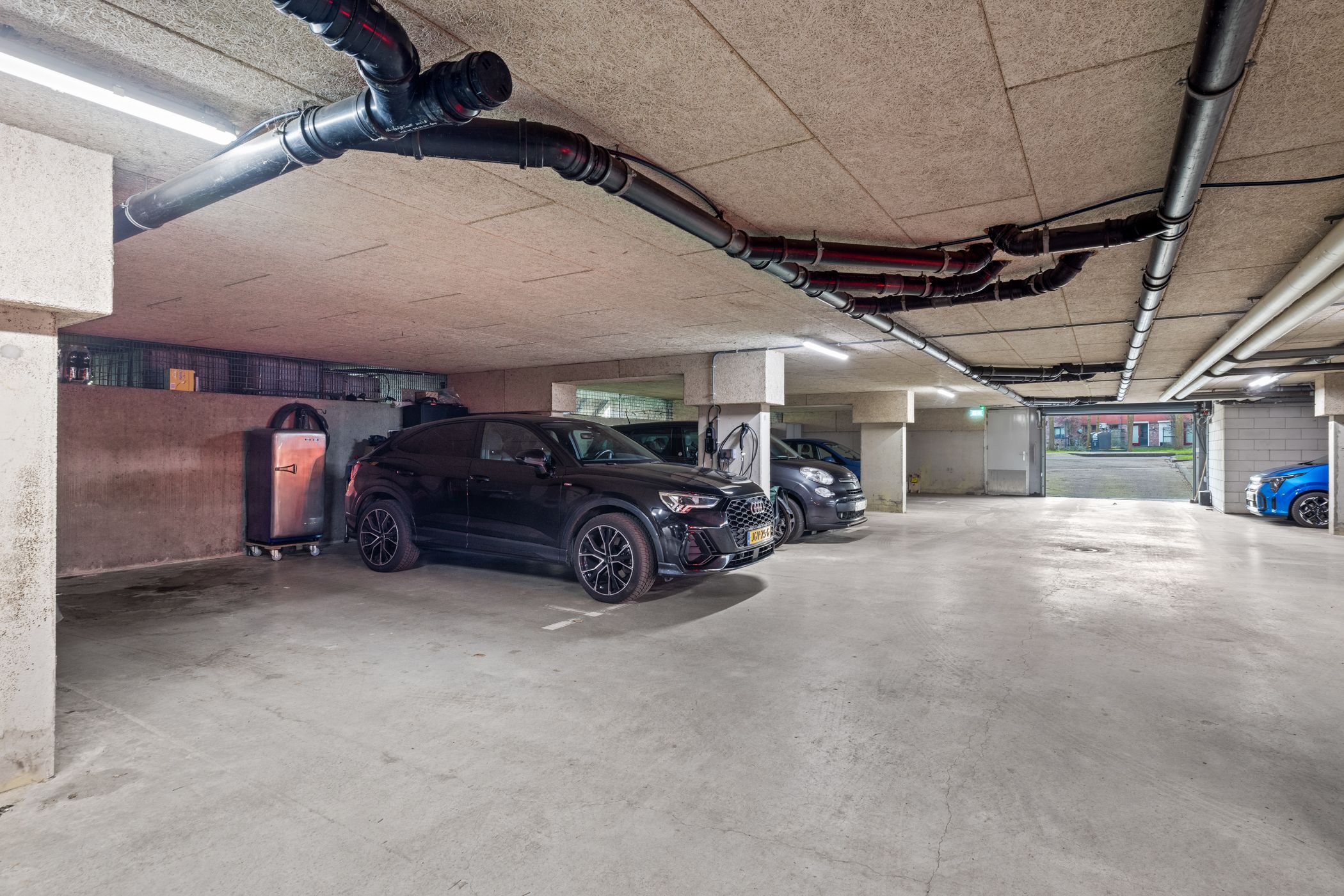 Foto 48 van Meerval 134