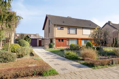 undefined main image