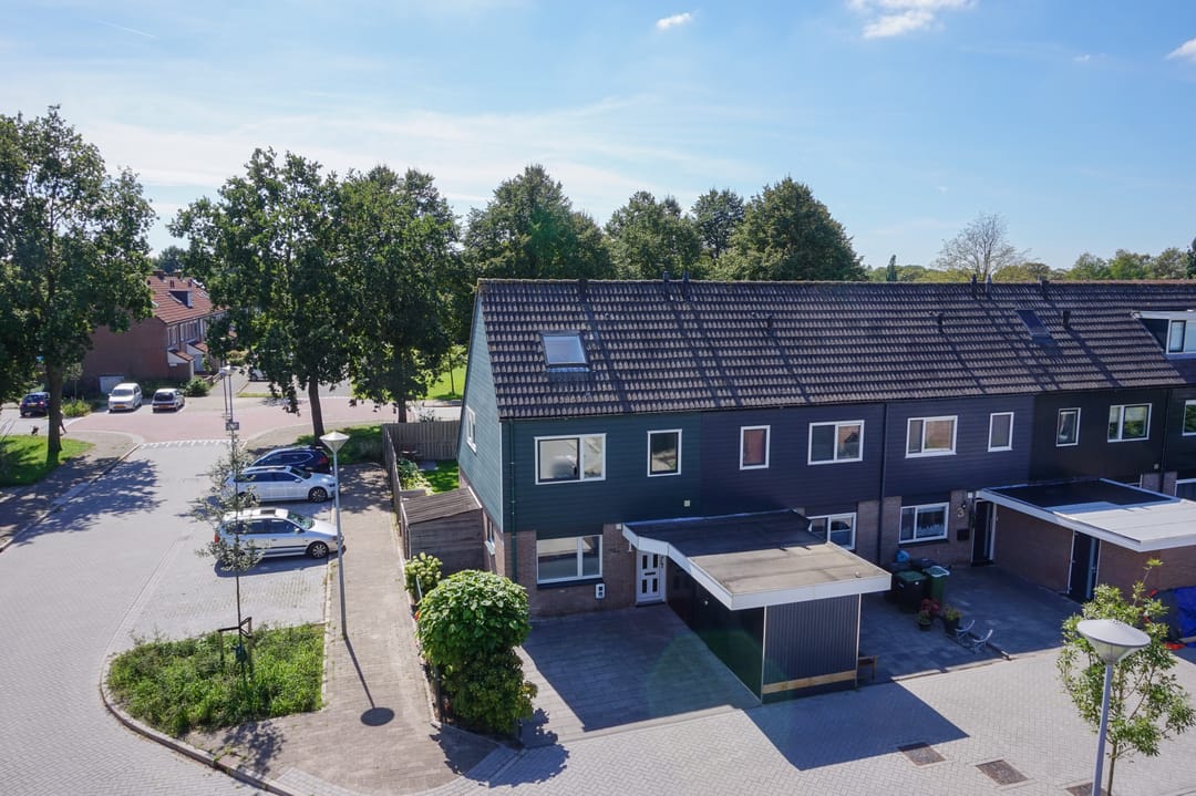 Foto 1 van Zwanebloem 1