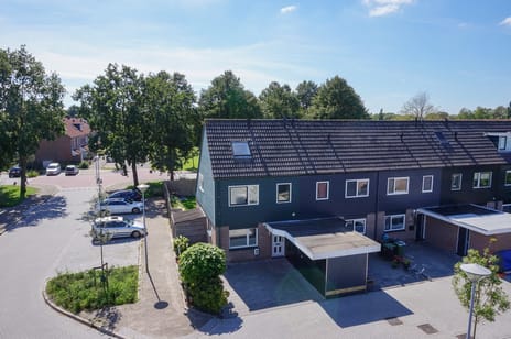 Zwanebloem thumbnail