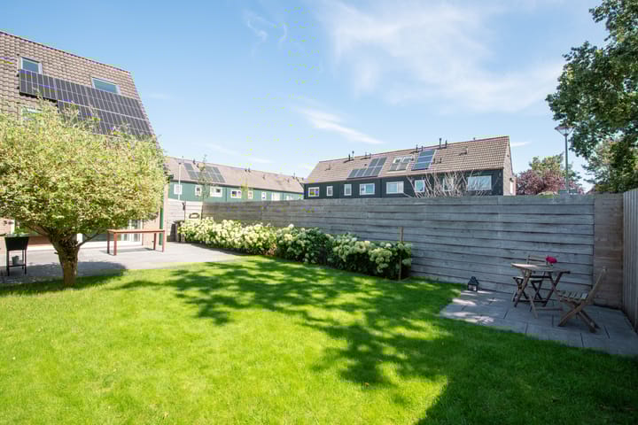 Foto 4 van Zwanebloem 1