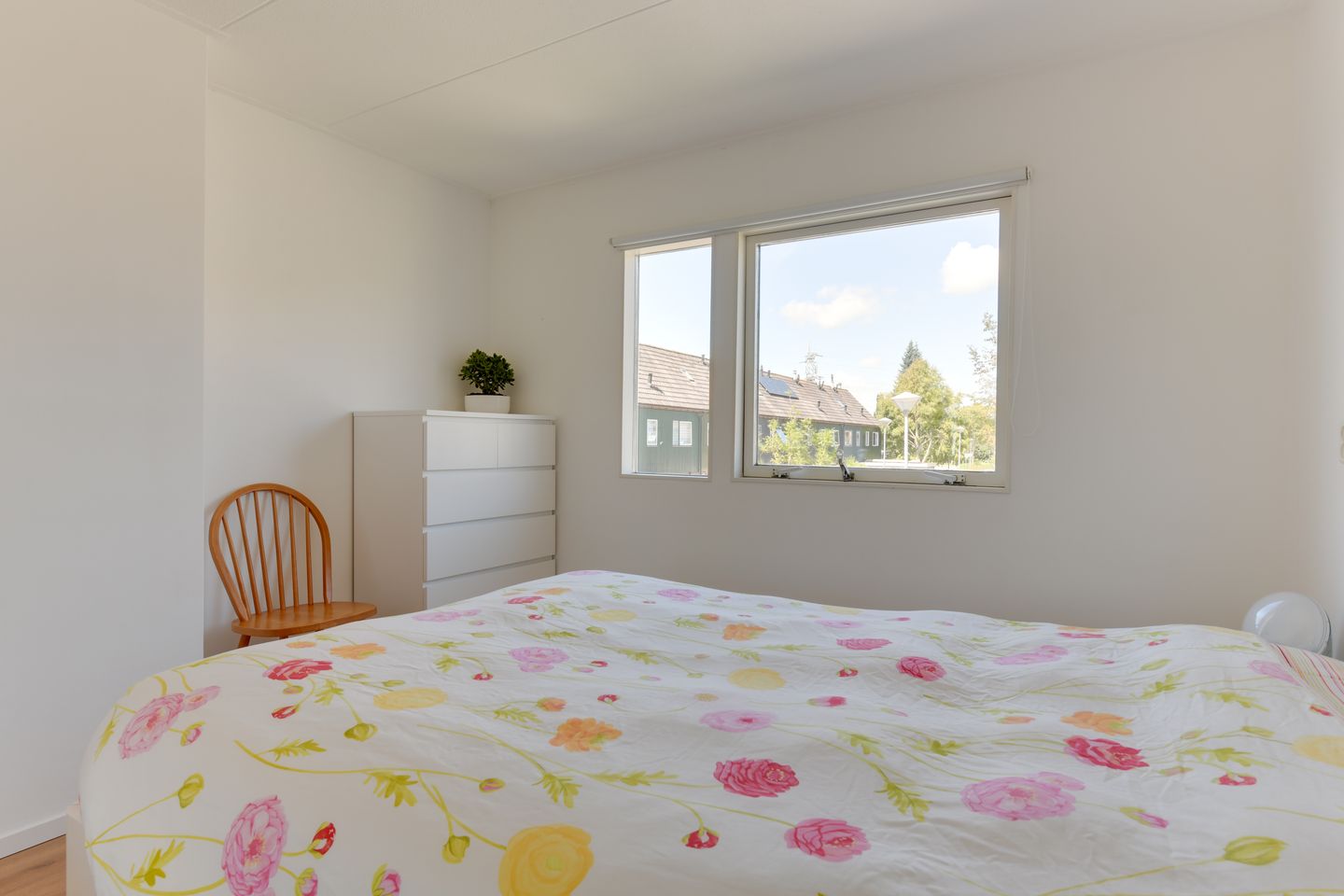 Foto 25 van Zwanebloem 1