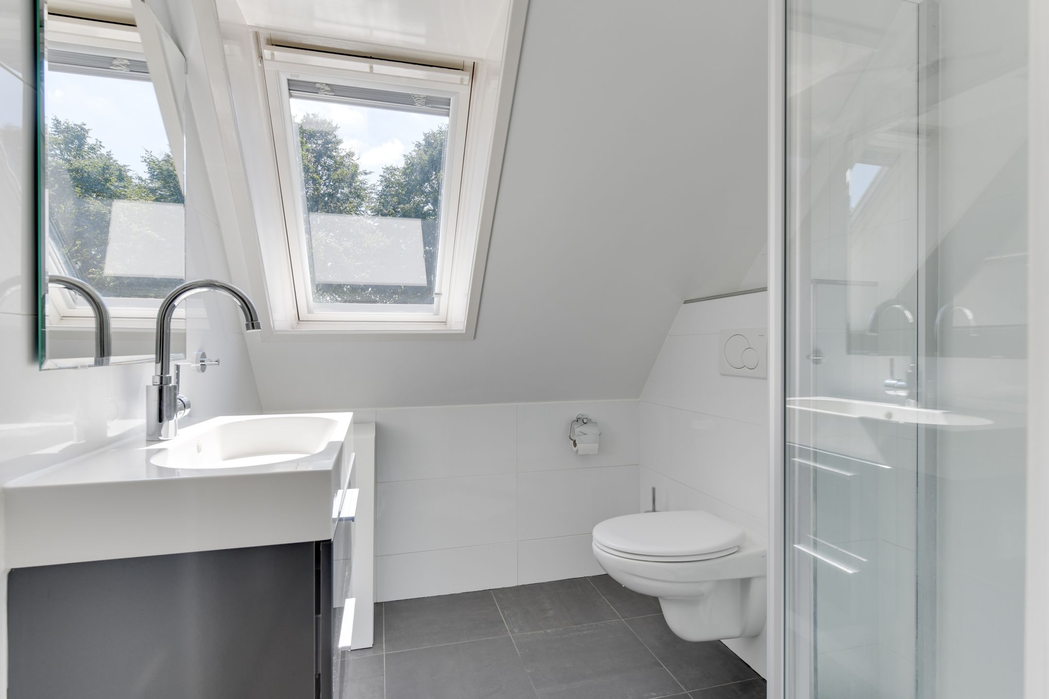 Foto 33 van Zwanebloem 1