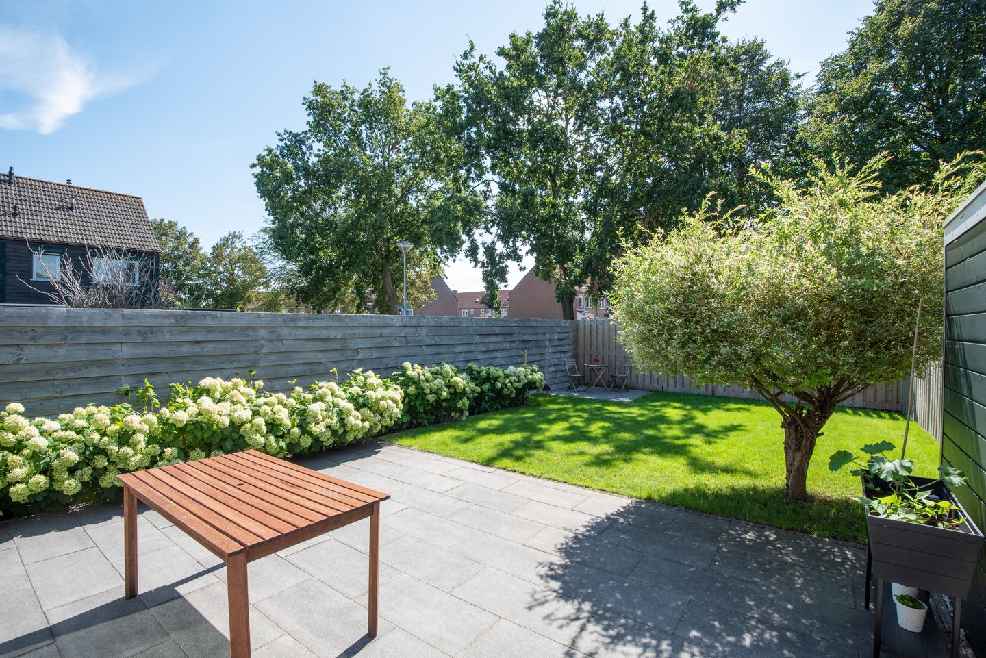 Foto 40 van Zwanebloem 1