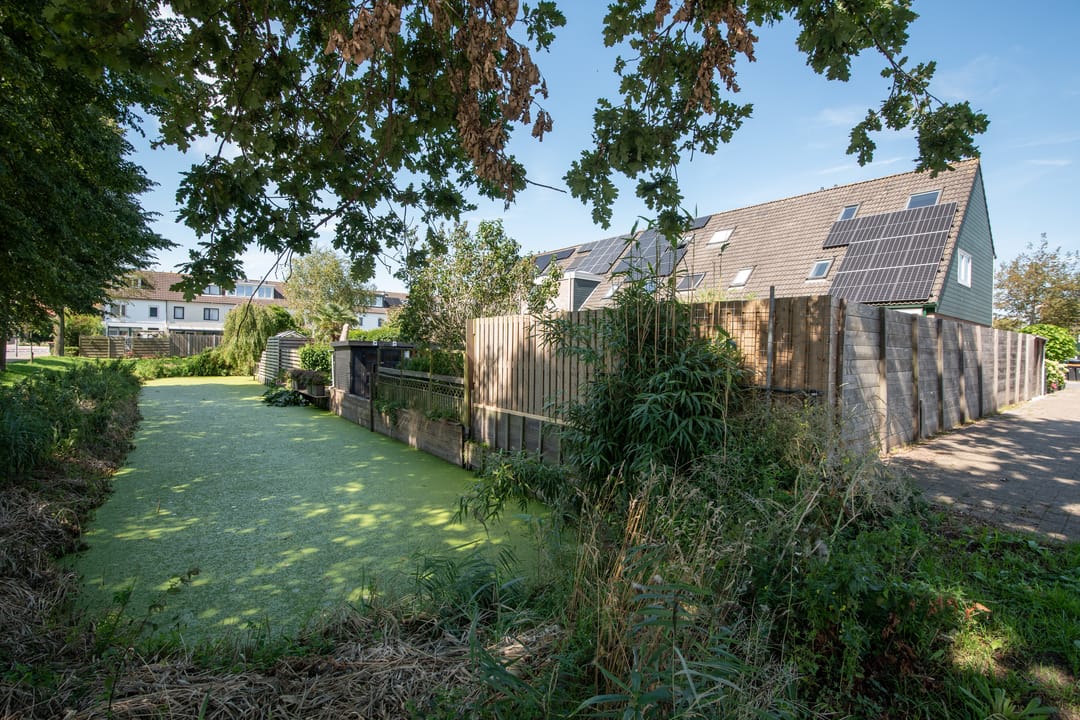 Foto 46 van Zwanebloem 1