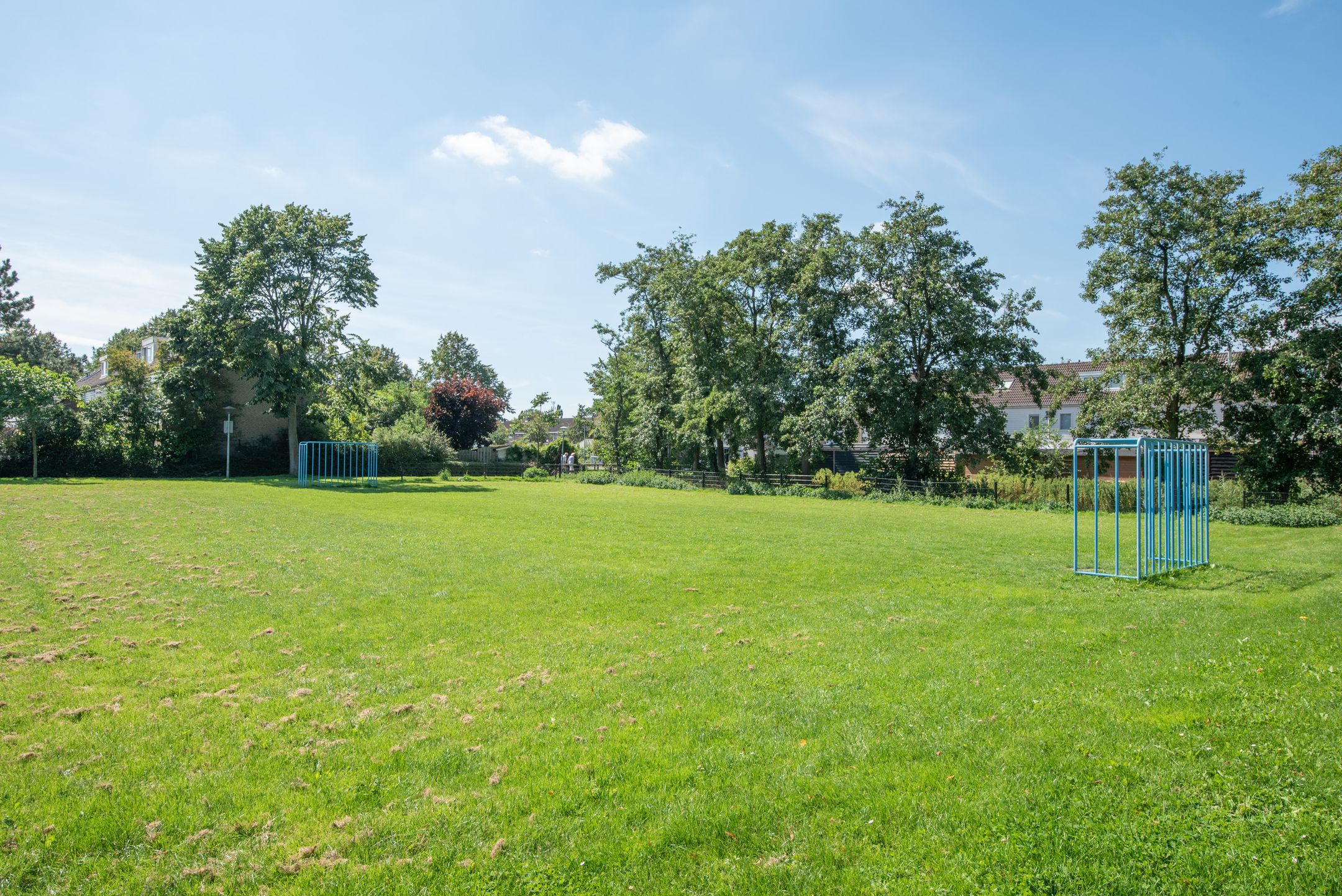 Foto 48 van Zwanebloem 1