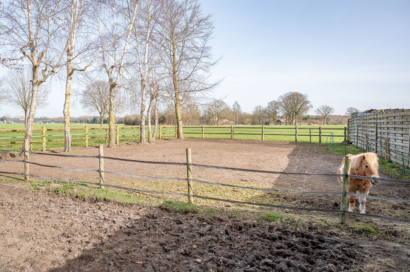 Semi-detached farmhouse with pony stable and meadow in Zelhem — 17